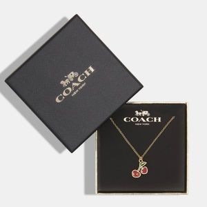 NWT Coach Heart Cherry Pendant Necklace Gold Red Plated Brass Cubic Zirconia